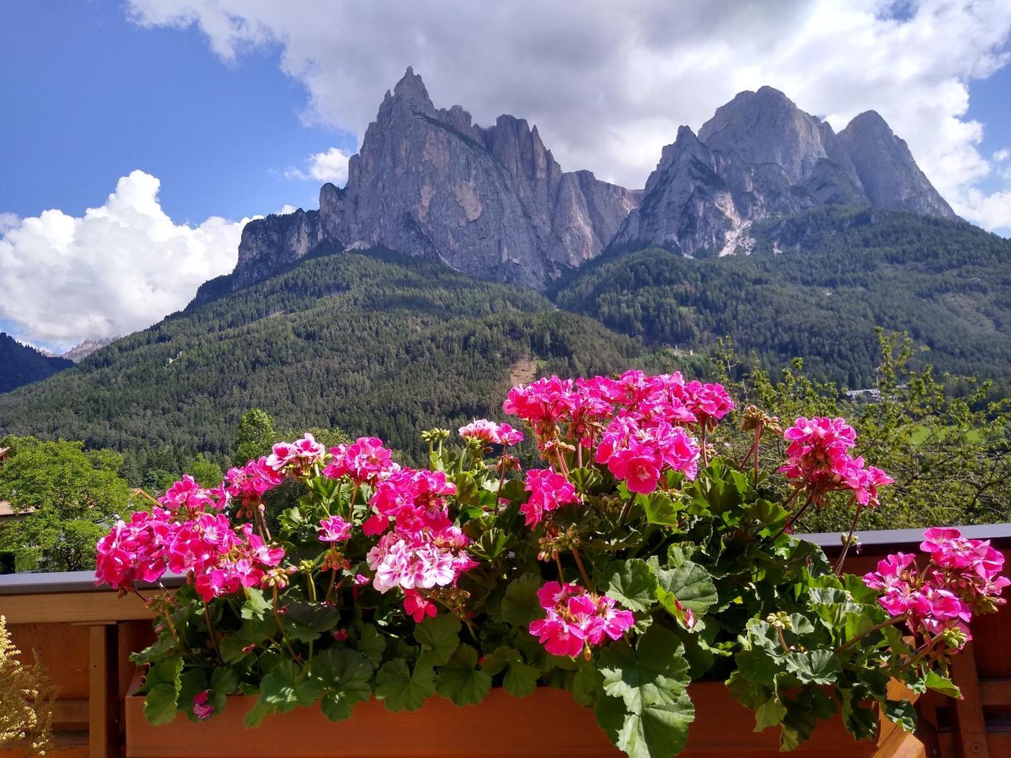 Apartment Euringer Villa Erna Siusi Exteriér fotografie